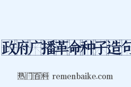 政府广播革命种子造句是什么意思的图片